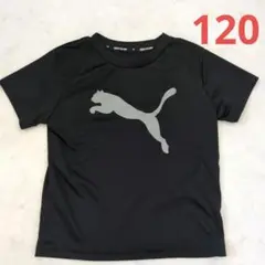 PUMA ブラック Tシャツ 120 男の子