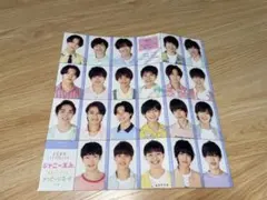 Myojo ジャニーズJr. データカード　2021 少年忍者