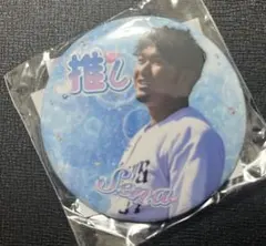 2025年最新】柘植世那の人気アイテム - メルカリ