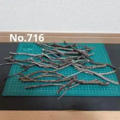 2026年最新】ブランチ 流木の人気アイテム - メルカリ