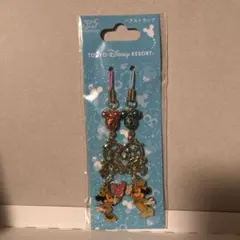 ディズニーランド　ペアストラップ　30周年　ミッキー　ミニー　希少　ストラップ