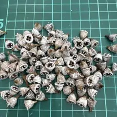 キャンディ〜ドロップス様 リクエスト 2点 まとめ商品