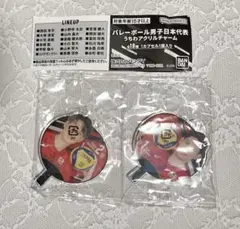 男子バレーボール　アクキー　小野寺　西田　まとめ売り