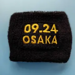 B'z リストバンド Amazon.co.jp: B'z ガチャ リストバンド 12個セット : Toys & Games