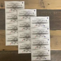 ヴィア・ホールディングス　株主割引券　6000円分