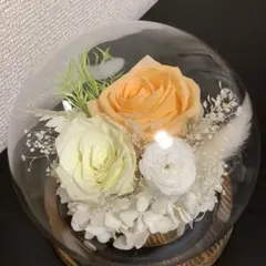 Item thumbnail for item 23943bc7-2367-47bb-9ca4-56d7731775b6