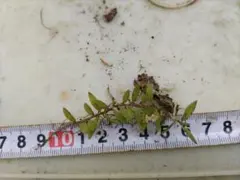 sekijee様 リクエスト 3点 まとめ商品