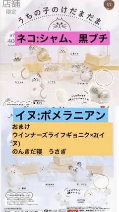 【正規品】うちの子けだまだま　猫　犬　店舗限定　ガチャガチャ　おまけ付き