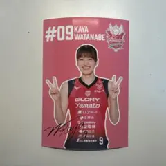 Item thumbnail for item 602793ee-74c5-4138-8145-ea66c162eae5