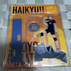 ハイキュー!!展 日向翔陽 アクリルスタンド