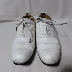 Item thumbnail for item 4e06190e-9b80-444a-9d75-b1387fb4f8f3