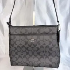 ぺぺろん様専用COACH F29210 コーチ ショルダーバッグ　ブラック