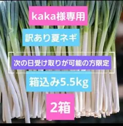 訳あり夏ネギ！ 箱込み5.5kg 次の日受取限定のサムネイル