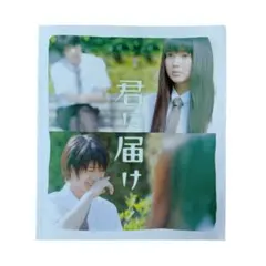 映画『君に届け』パンフレット 三浦春馬 多部未華子 - メルカリ
