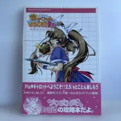 Piaキャロットへ ようこそ ‼︎2DX／販促ポスター／B2サイズ'／当時物