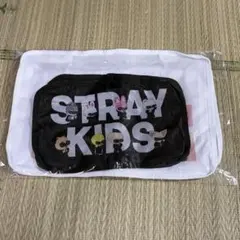 straykids RUN IT JAPAN アプグレ 特典 - メルカリ