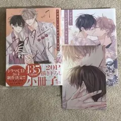 アフター・ミッドナイト・スキン 7 アニメイト 特典 小冊子 イラストカード