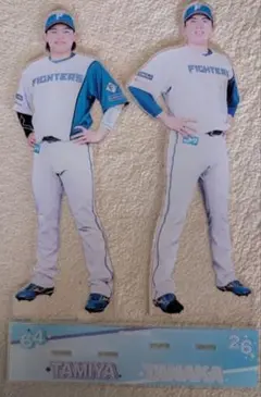 ファイターズ 田宮裕涼　田中正義　ビッグアクリルスタンド 新品