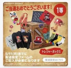 値下げ！1等ONE PIECE マクドナルド トレジャーボックス マックリワード当選品1等 実写ONEPIECE トレジャーボックス 激レア