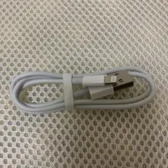 新品未使用 Lightningケーブル 白 iPhone 短め