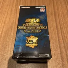 2026年最新】QUARTER CENTURY CHRONICLE side:PRIDEの人気アイテム