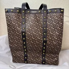 Item thumbnail for item 8f040286-7df8-415b-8eed-cca8da666667