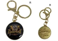 Item thumbnail for item f87226aa-c550-4273-80ac-743777725210