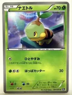 ナエトル C BW7 プラズマゲイル 001/070 ひとやすみ