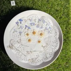 Item thumbnail for item 875f881d-6c1e-4384-a12c-56555eda3082