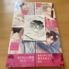 君に忘れる恋がしたい 1-4巻セット
