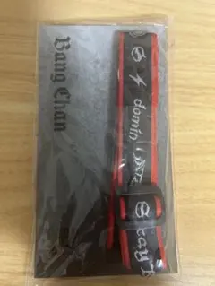 【Straykids】バンチャン dominATE ネックストラップ