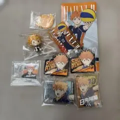 ハイキュー日向セット
