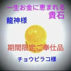 2025年最新】チョウピラコの人気アイテム - メルカリ