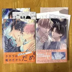 ビタープレイメイト ボーイズラブ