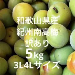 3Lサイズ 和歌山県産 紀州南高梅 色付き 箱込み5キロ 青梅 - メルカリ