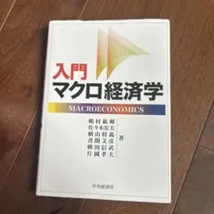入門マクロ経済学