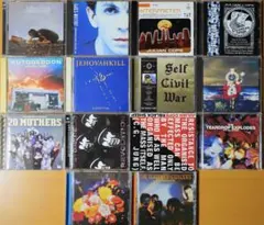 Julian Cope & Teardrop Explodes CD まとめ