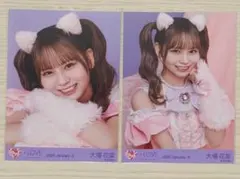 =LOVE 大場花菜 生写真 2枚セット 猫衣装