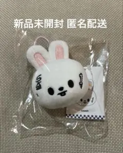 【新品未開封】Stray Kids リノ リービットKARMA ネームタグ