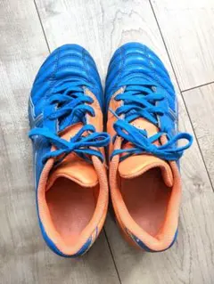 アシックスDS LIGHT /  スパイク/  22.5cm