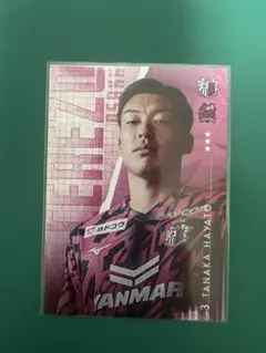 Item thumbnail for item 5a5a44dc-eabc-4643-9bbb-28c62c34ff72