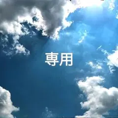 りん様専用　14kgf