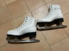 Item thumbnail for item a7605220-f00a-4426-ab1c-d4b85f5c0249