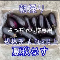 さっちゃん様専用 新鮮朝採り 夏秋茄子規格外 4.5kg〜9/11収穫