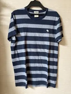Abercrombie&Fitch ストライプTシャツ