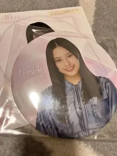 ローソン 櫻坂46 くじ BIG缶バッジ A4ファイル×2枚 遠藤光莉