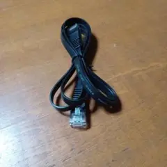 フラット LANケーブル RJ45 コネクタ 黒 1m
