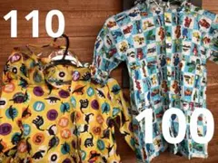 Item thumbnail for item 9511767c-72a6-4204-82f4-1ea93c50e938