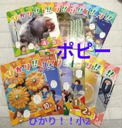 ポピー教材　ぴかり！！2年　2022年4月〜2023年3月号
