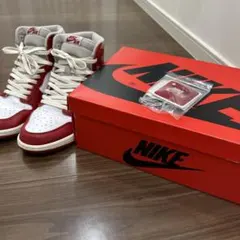 NIKE Air Jordan 1 ノスタルジア